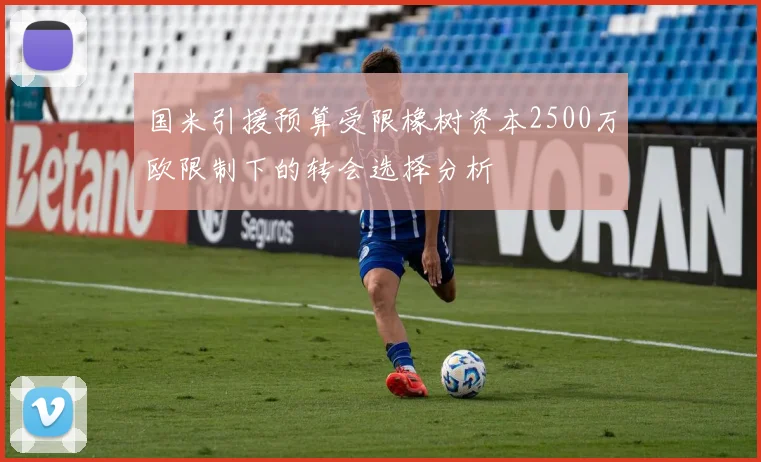 国米引援预算受限橡树资本2500万欧限制下的转会选择分析